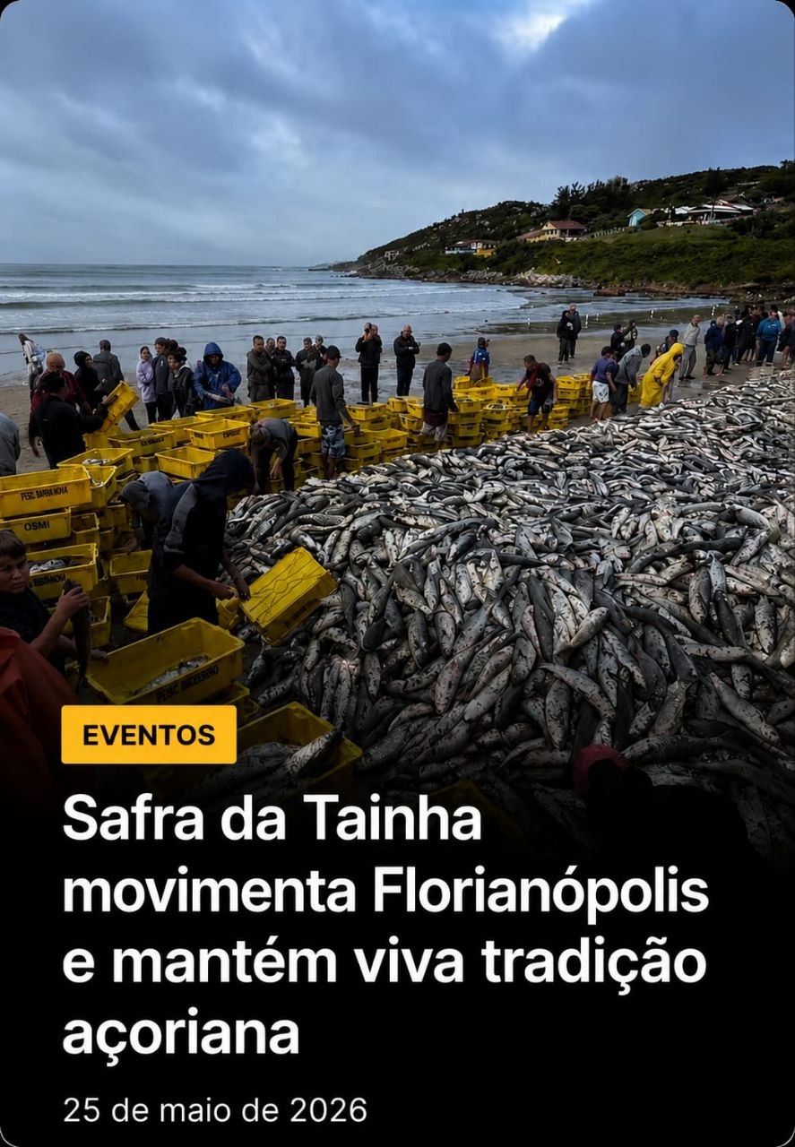 Post sobre safra da tainha